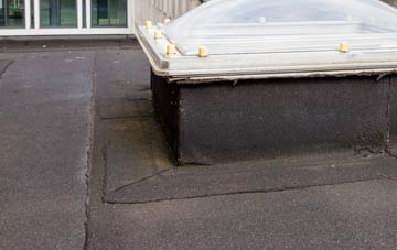disadvantages of Waterhales flat roofs