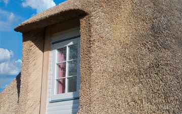Waterhales thatch roof disadvantages